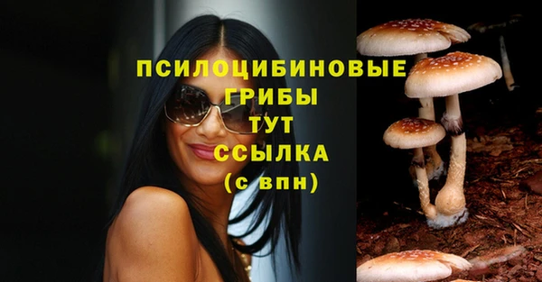 mdpv Арсеньев