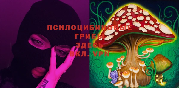 стафф Горнозаводск