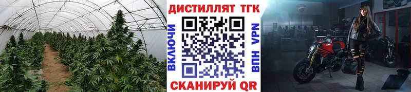 ТГК THC oil купить наркоту Лабинск